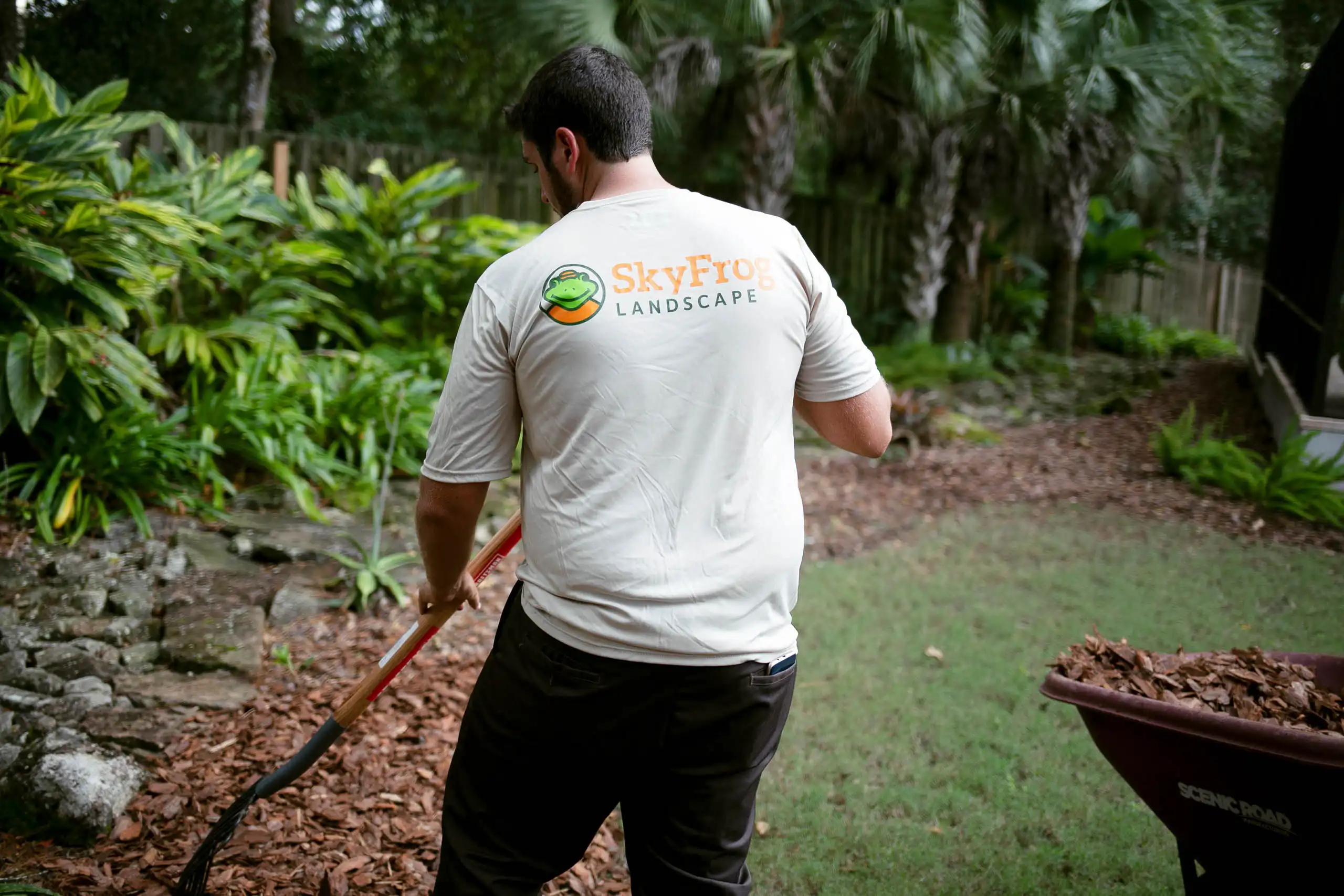A SkyFrog Landscape worker, seen from behind in a branded white tee, spreading bark mulch with a rake in a lush tropical garden; a "Scenic Road" wheelbarrow full of mulch sits to the right.