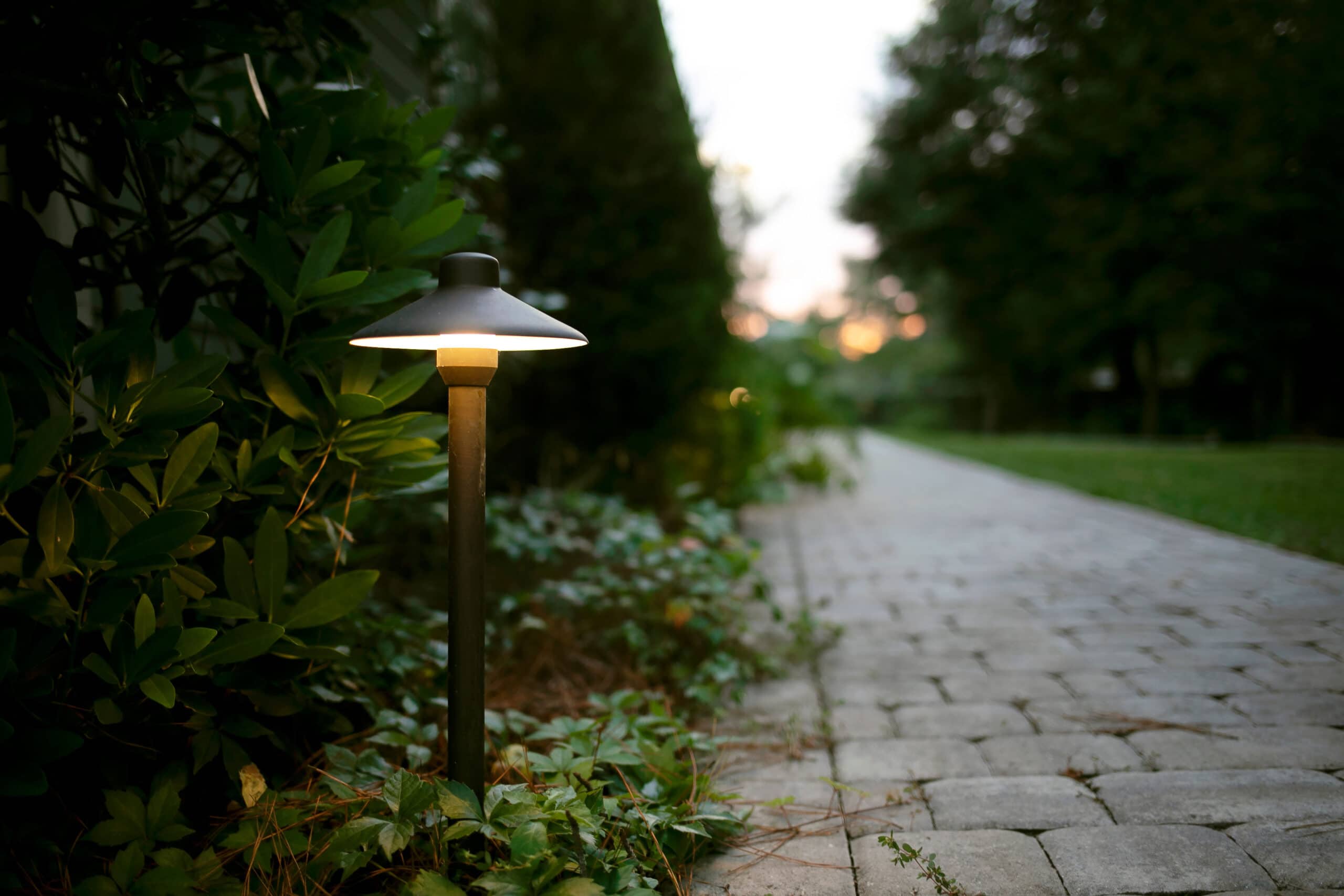 Path lights and privacy hedges in the evening.