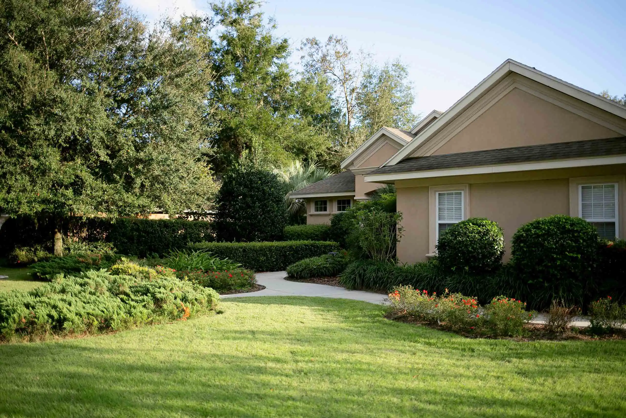 A backyard with a concrete pathway and bushes