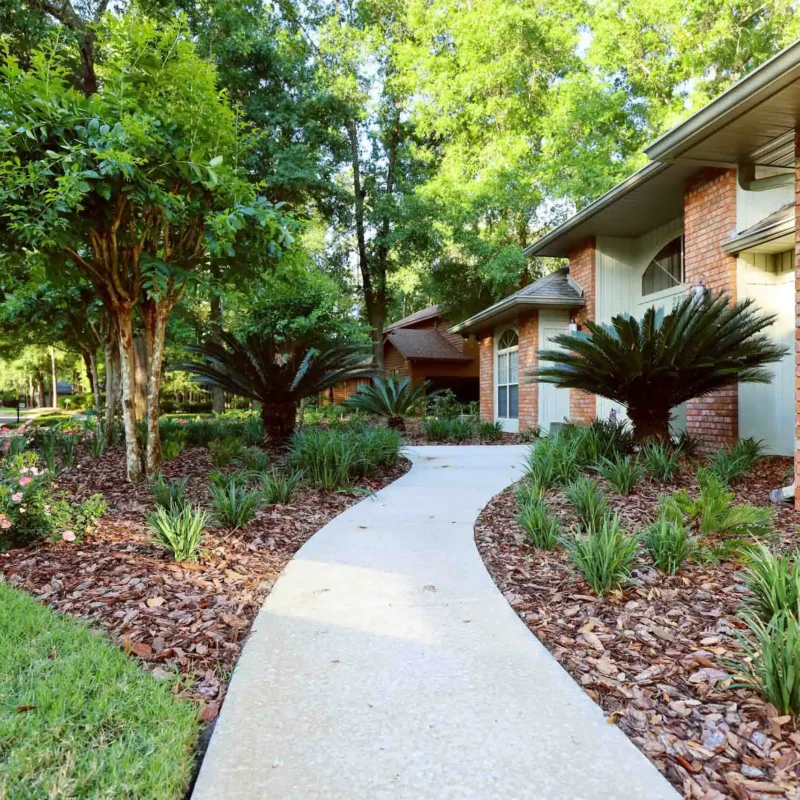 Gainesville, FL Landscape Design Services