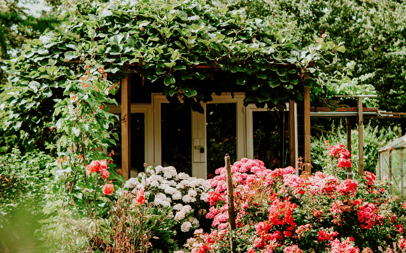Outdoor living space ideas creating shade with surrounding greenery.