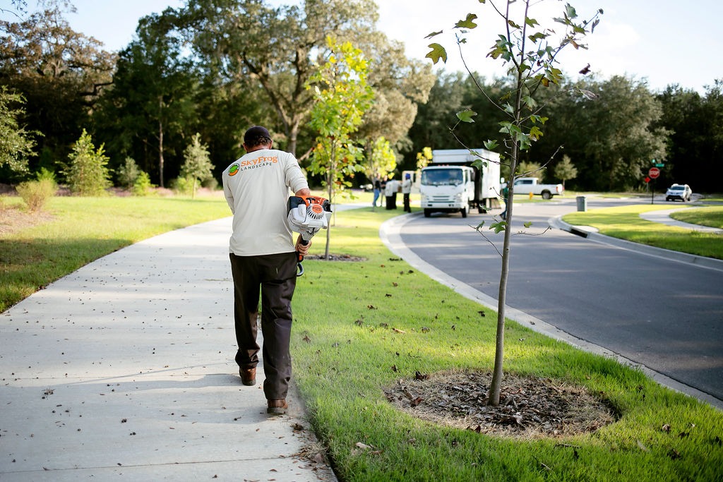Landscaper edging grass along a suburban sidewalk