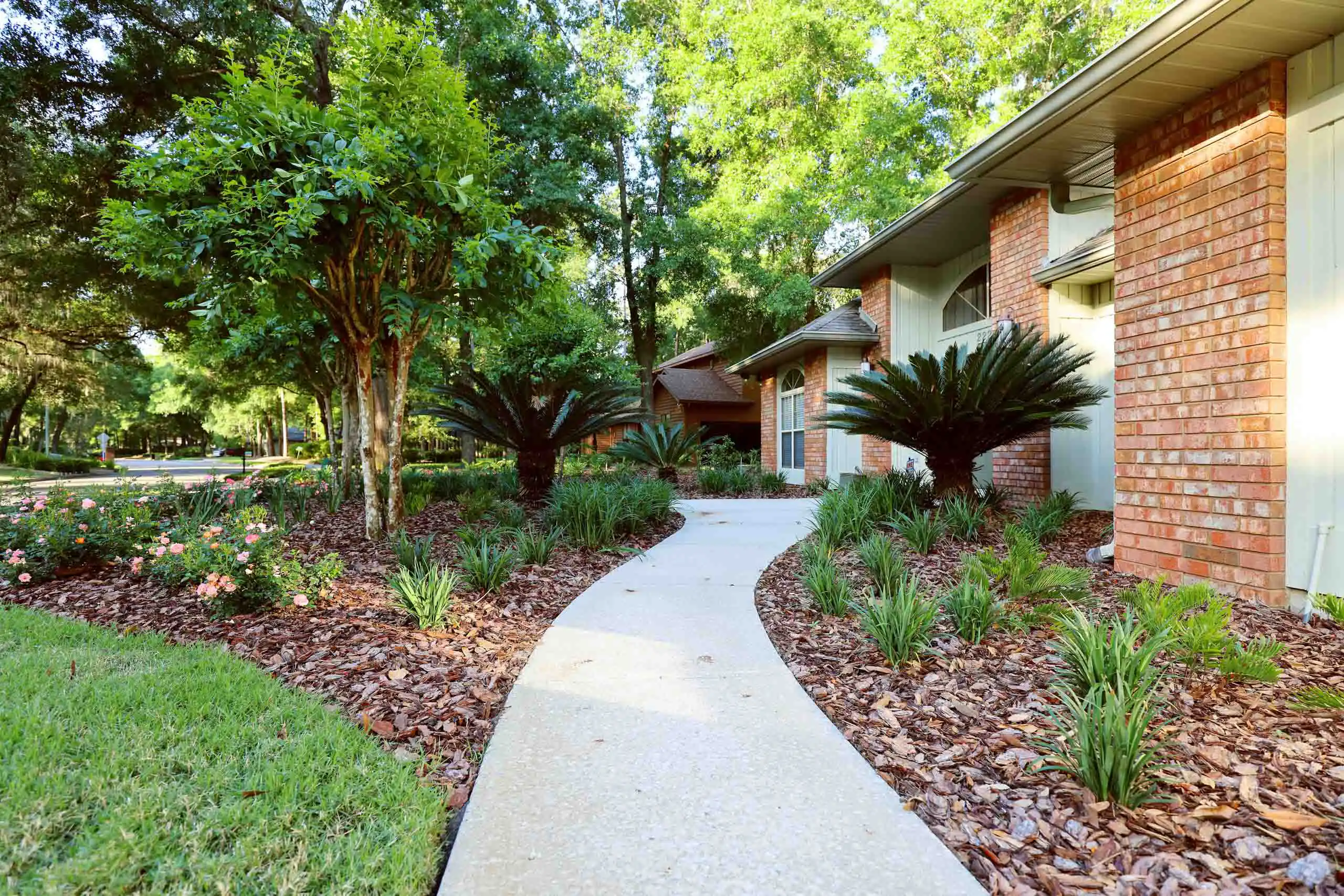 A front yard butterfly garden.