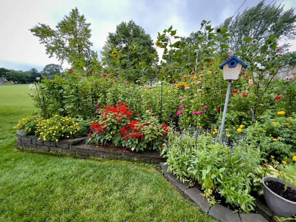 Colorful raised flower garden with red salvia, yellow marigolds, zinnias, and other blooms surrounding a small wooden birdhouse on a post, set in a lush green yard.