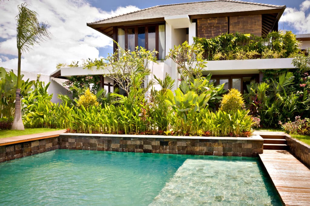 modern swimming pool closeup with natural garden fill with lots of green plants that cover the area