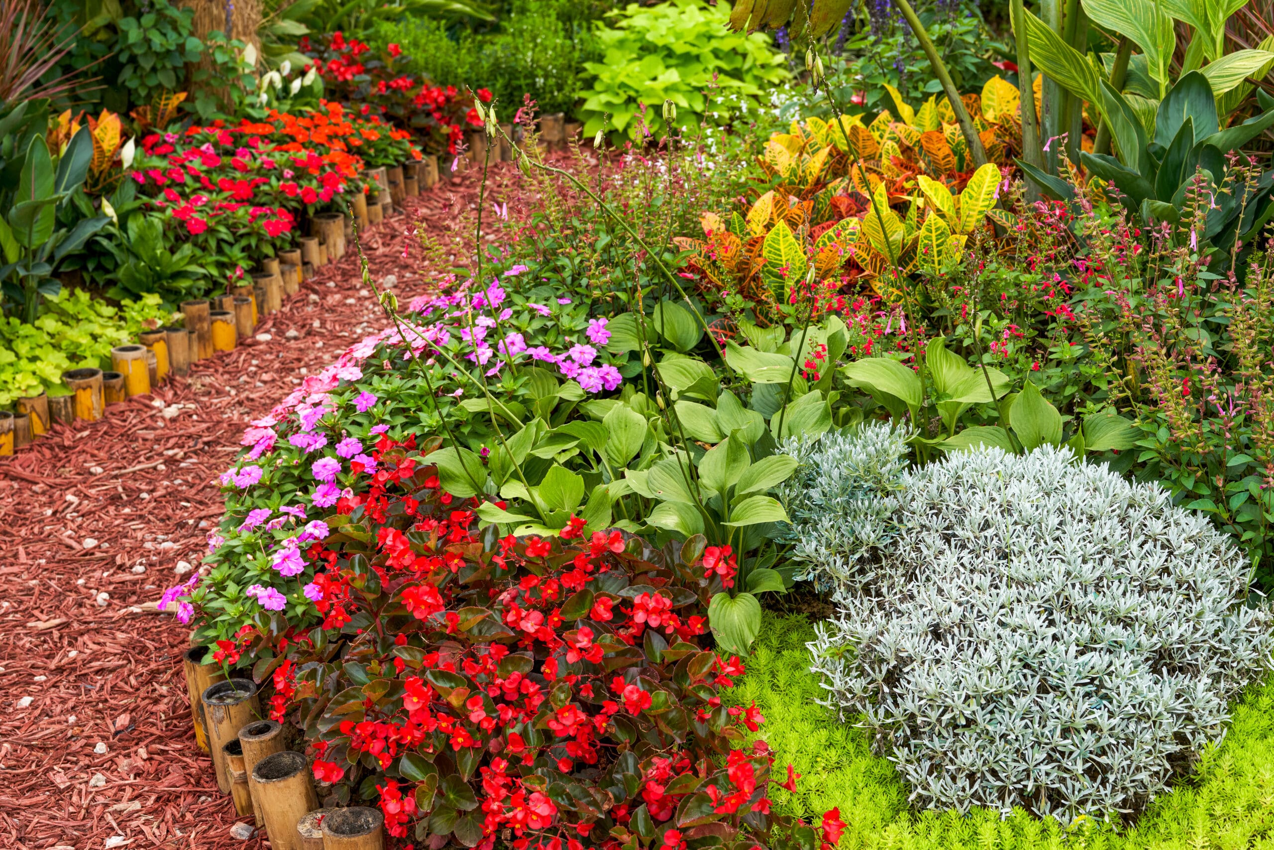 Front yard landscaping featuring a custom footpath and vibrant plant life.