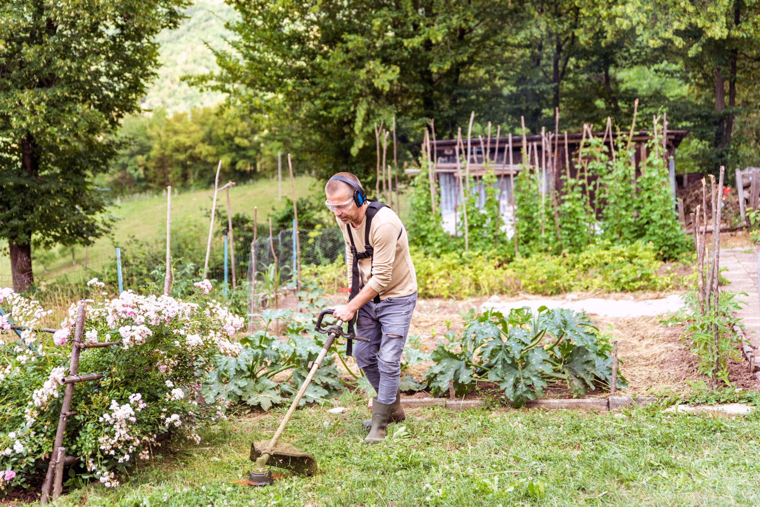A man in protective gear trims grass in a lush garden using a string trimmer, surrounded by blooming flowers, vegetable plants, and wooden garden structures, with a forested landscape in the background.