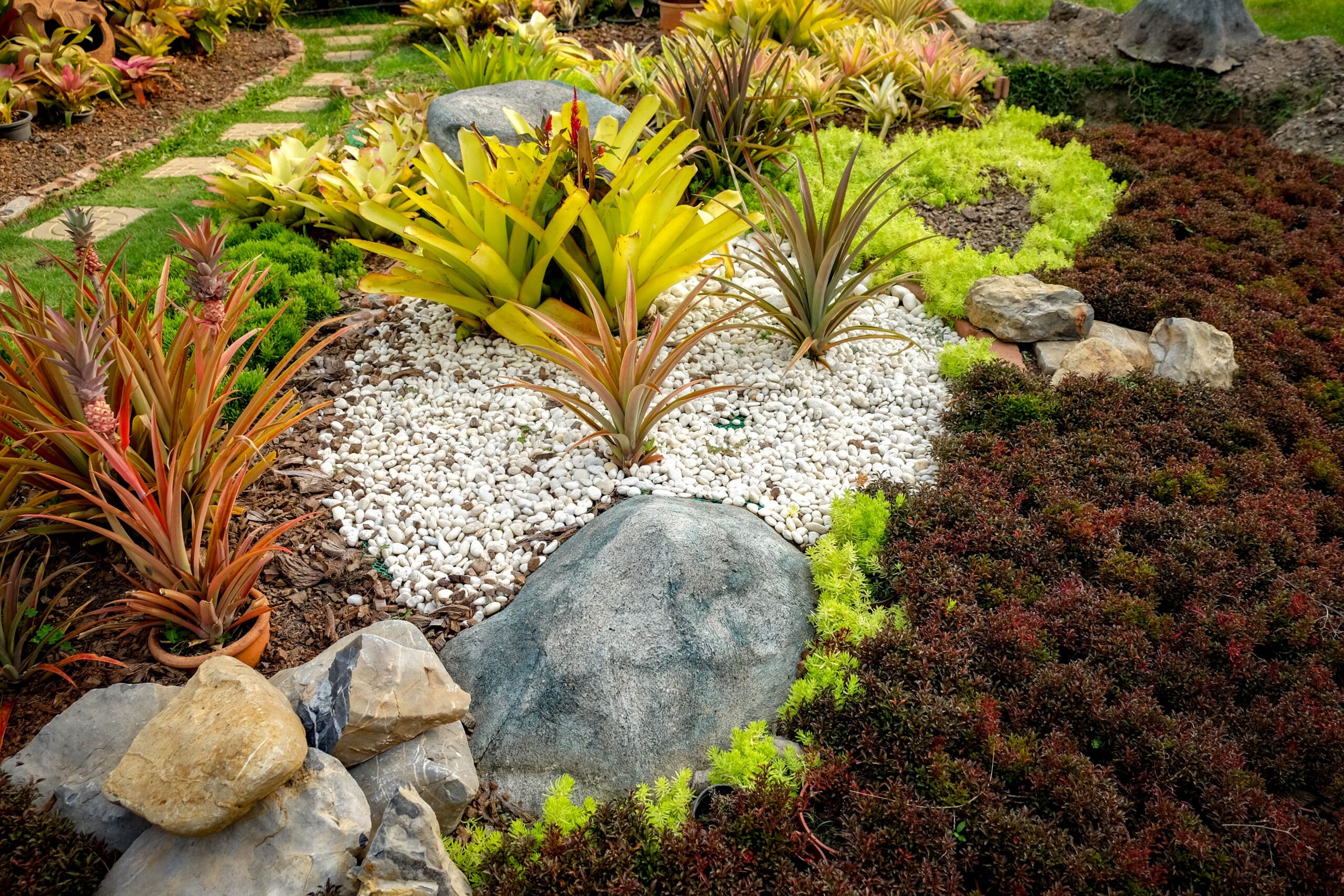 A vibrant, tropical-style garden featuring clusters of colorful bromeliads, low-growing succulents, and ornamental grasses surrounded by white pebble mulch and large decorative stones. A stone path leads through lush, densely planted sections with a rich mix of textures and hues.