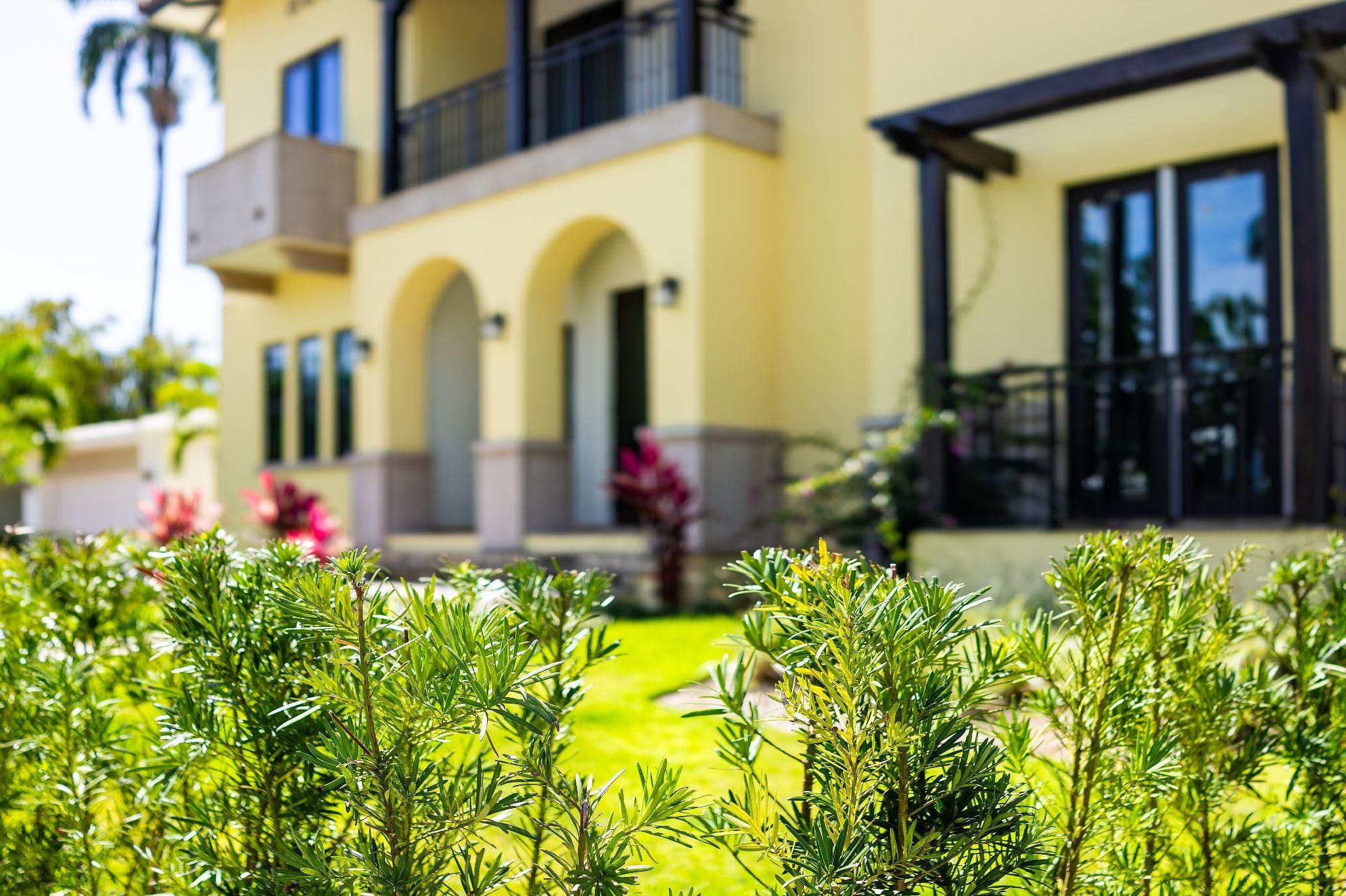 A close-up view of a well-manicured garden in front of a yellow house, showcasing vibrant green shrubs and tropical plants; all kept beautiful through avoiding landscaping mistakes.