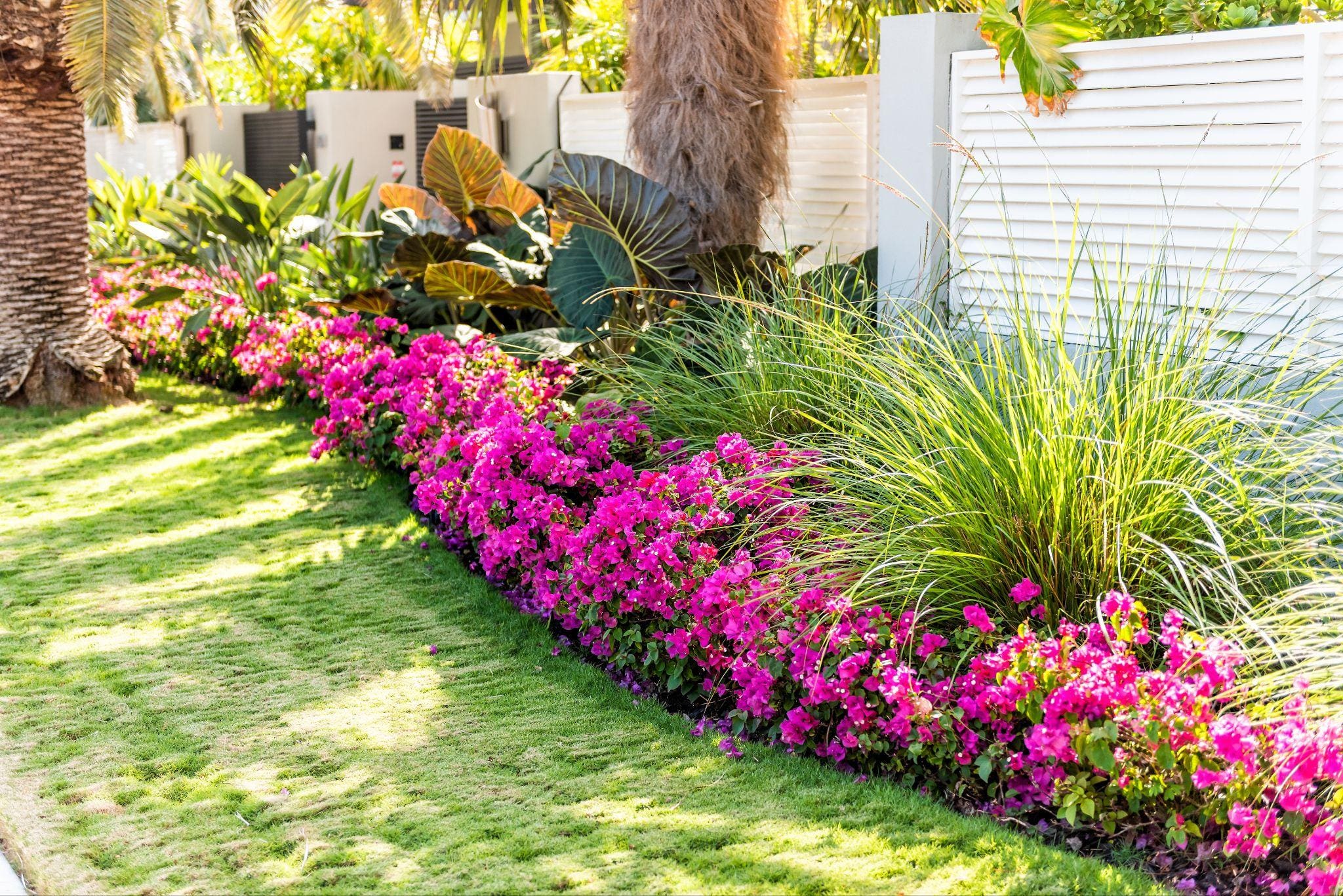 A modern house with an orange exterior, featuring a paved driveway and tropical landscaping.