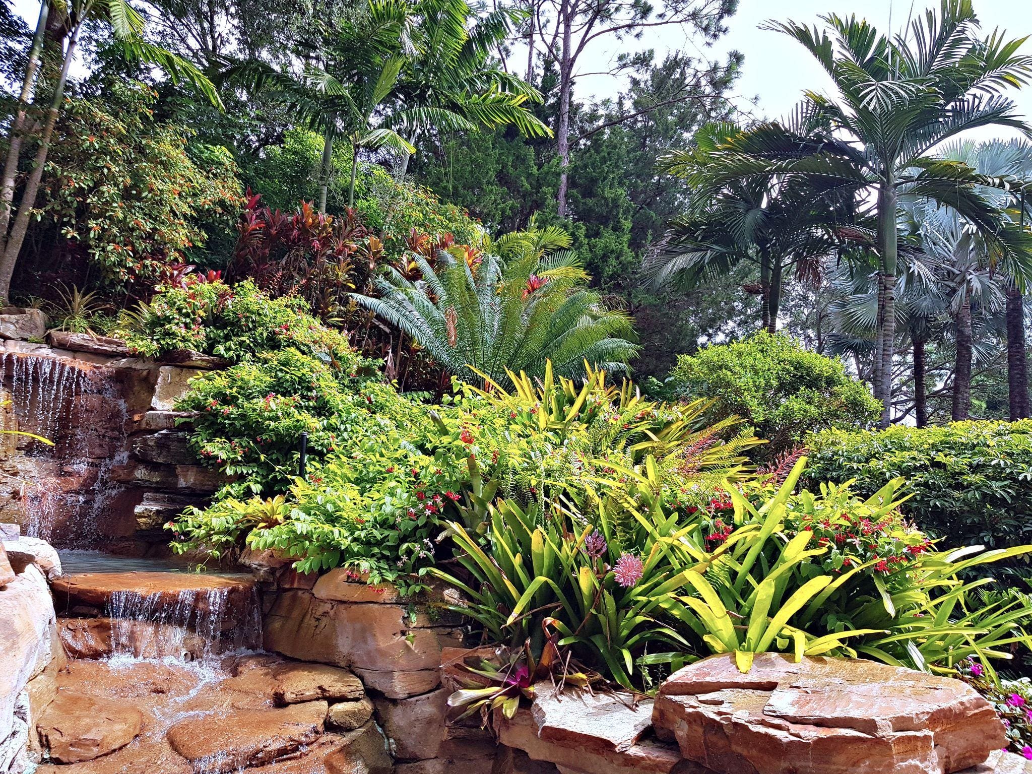 A serene tropical garden path winding through lush greenery, including large leaves and flowering plants, alongside a small stream.