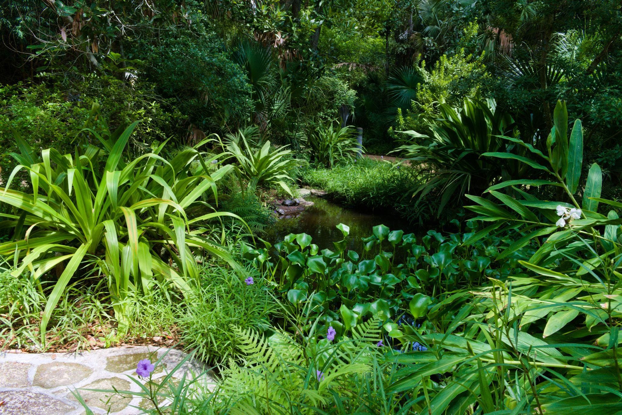 A vibrant garden with a cascading waterfall surrounded by lush foliage, colorful flowers, and tropical plants.