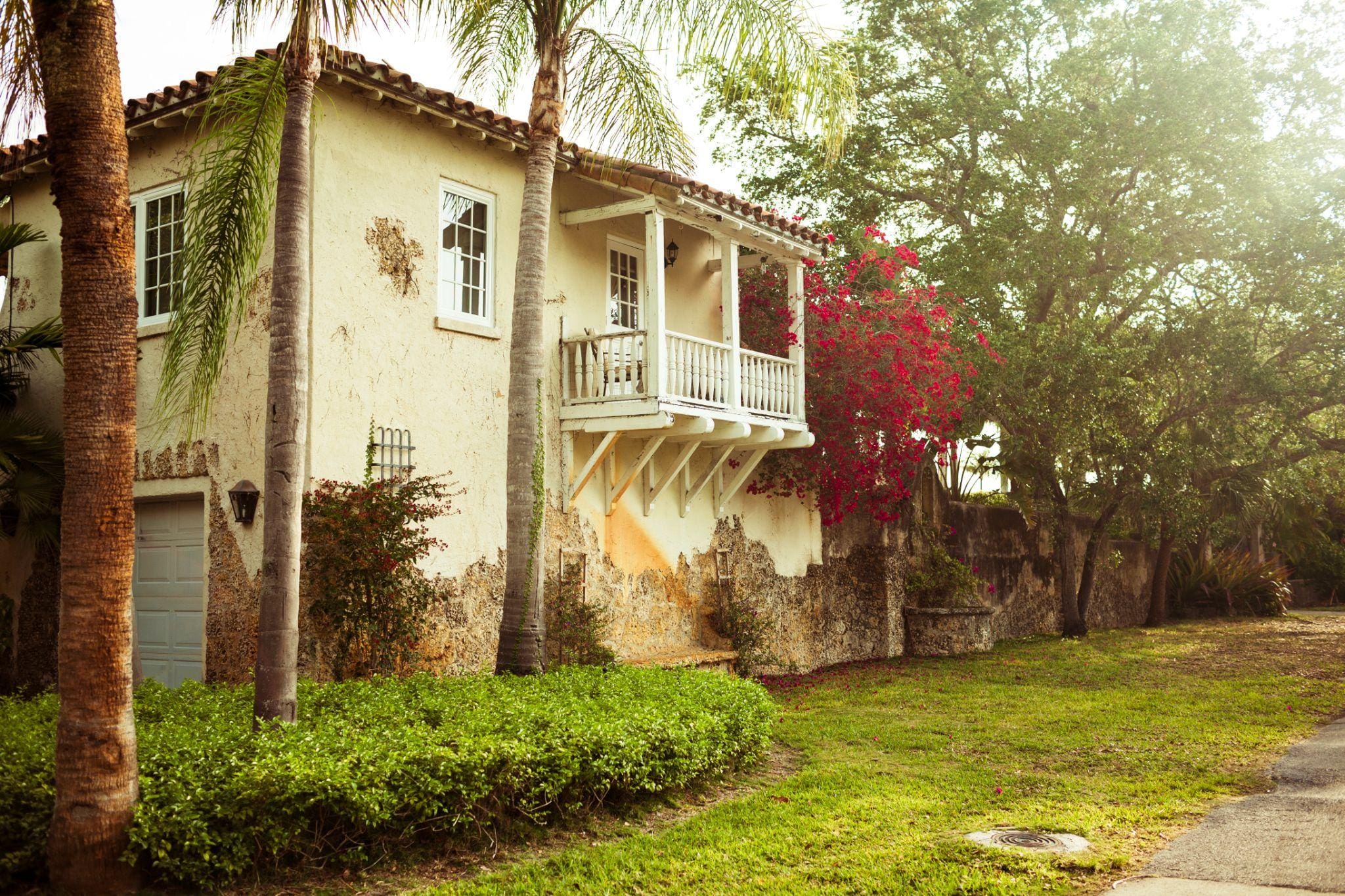  close-up view of a landscaped area featuring large fan palms and colorful flowers, showcasing a tropical atmosphere.