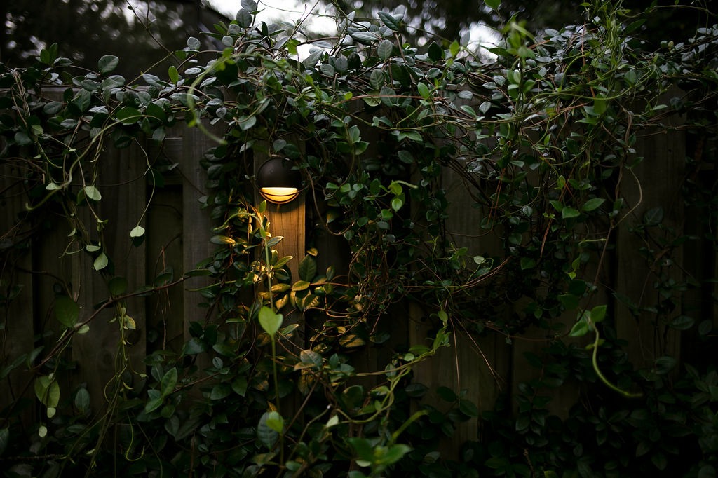 Warm wall light glowing through vines on wooden fence