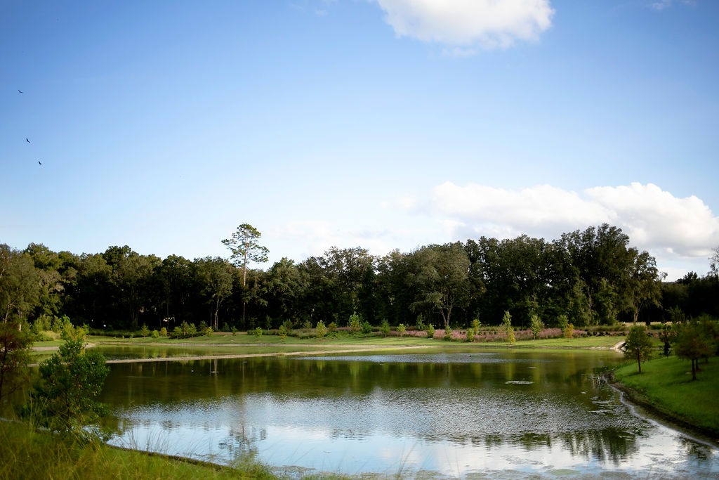 Peaceful pond bordered by trees under a blue sky