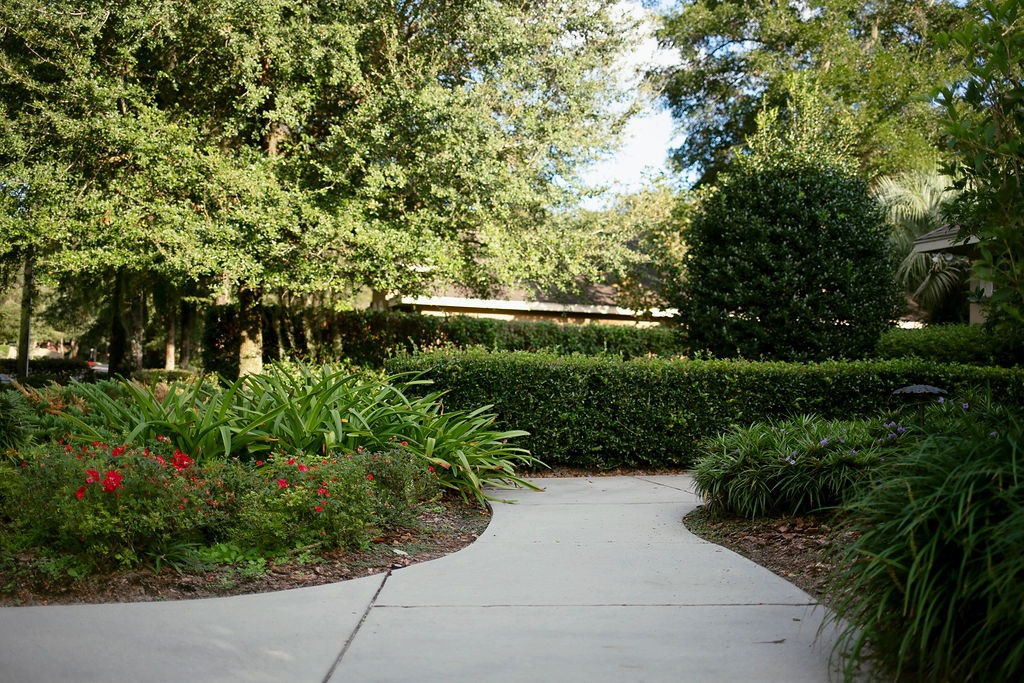 Curving garden walkway surrounded by lush greenery and flowers