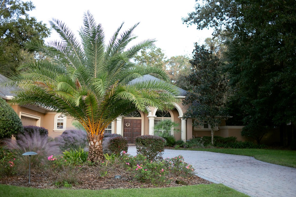 Palm tree and landscaped garden before a suburban home