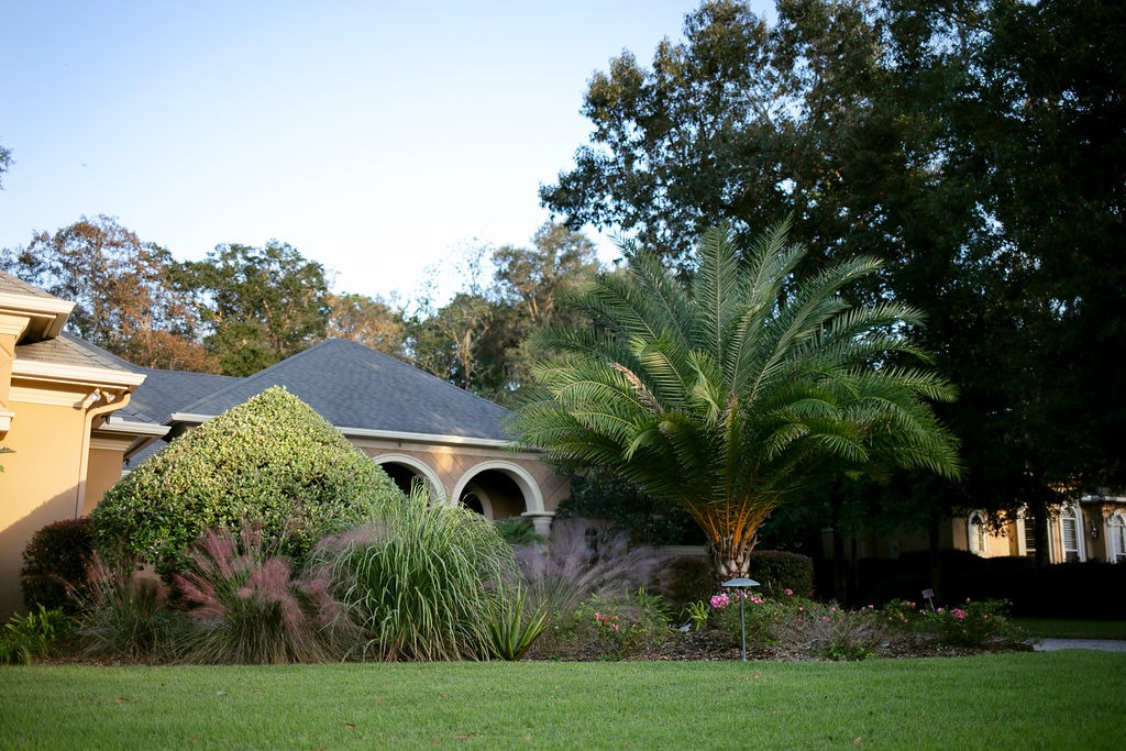 Palm tree and landscaped garden beside suburban home