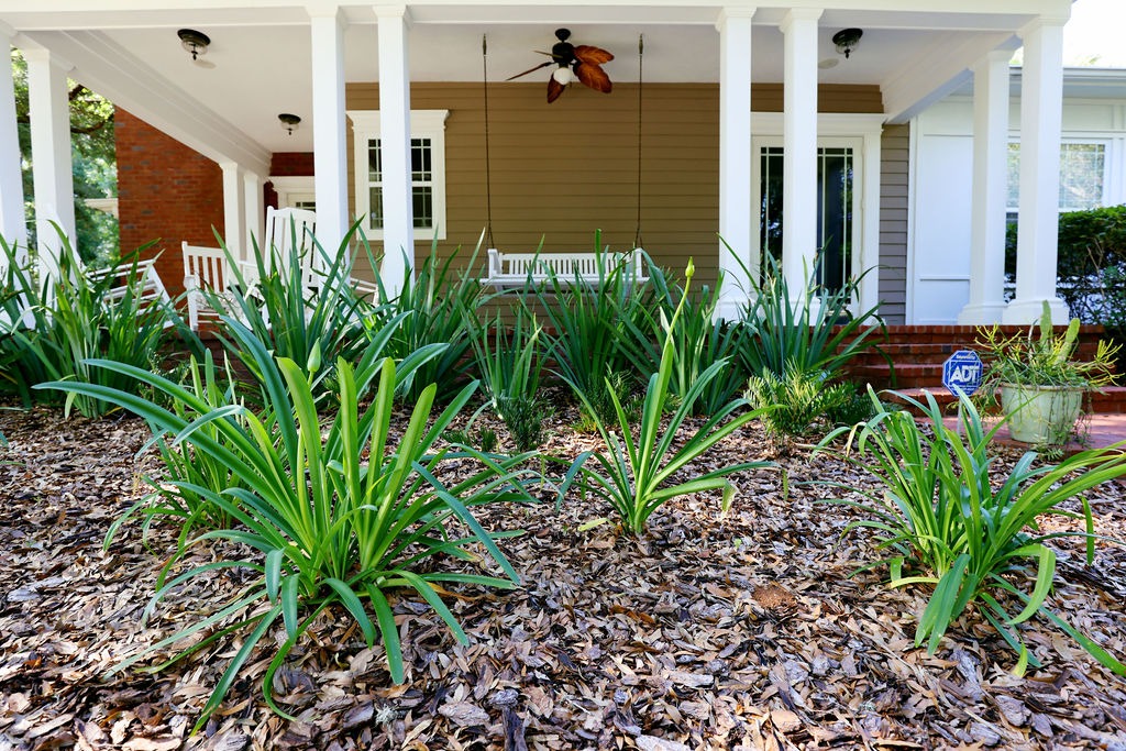Landscaped front porch with white columns and green plants