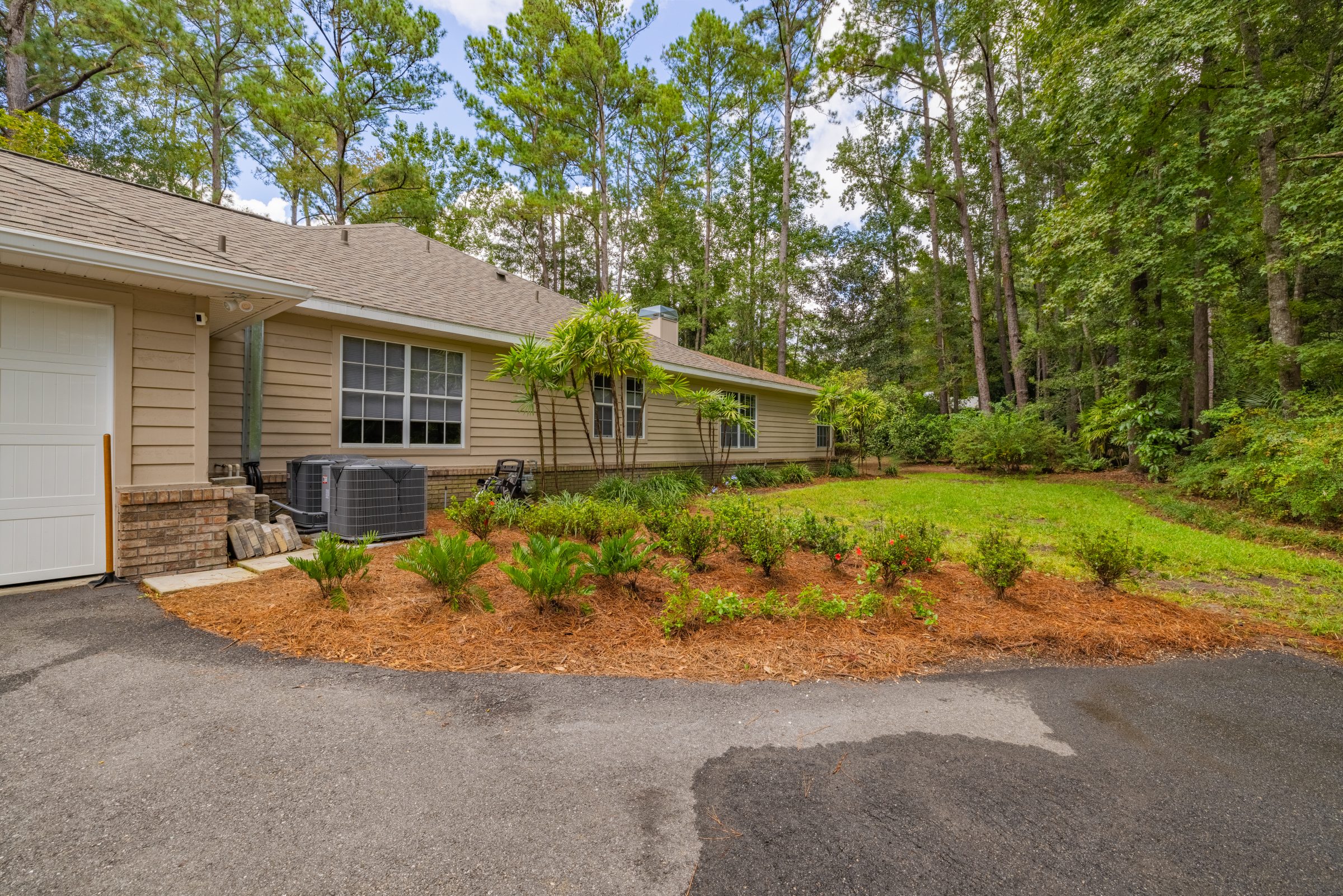 Wooded side yard beside beige single-story home