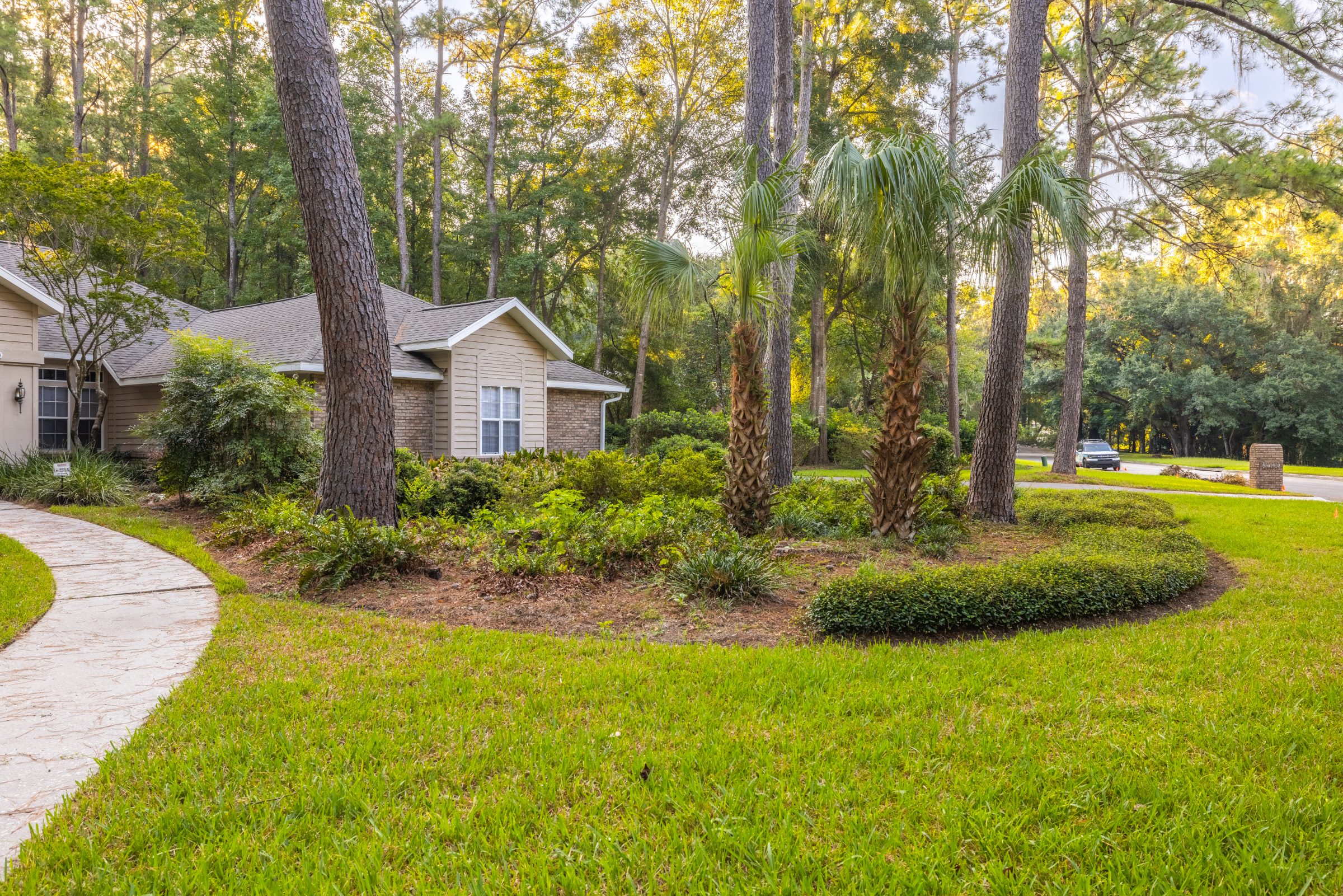 Wooded suburban home with palm tree and landscaped front yard