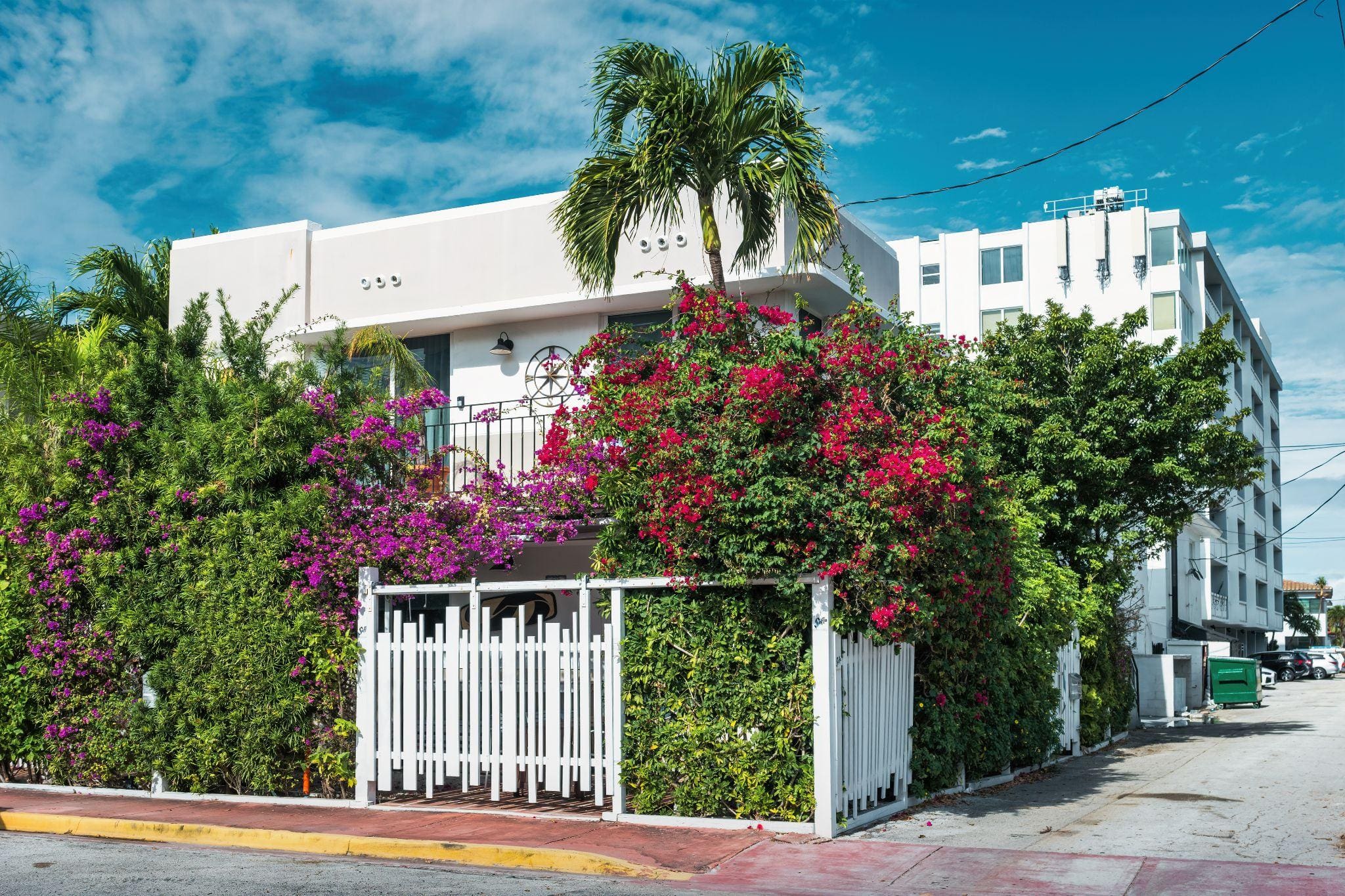 White tropical home with bougainvillea and palm tree