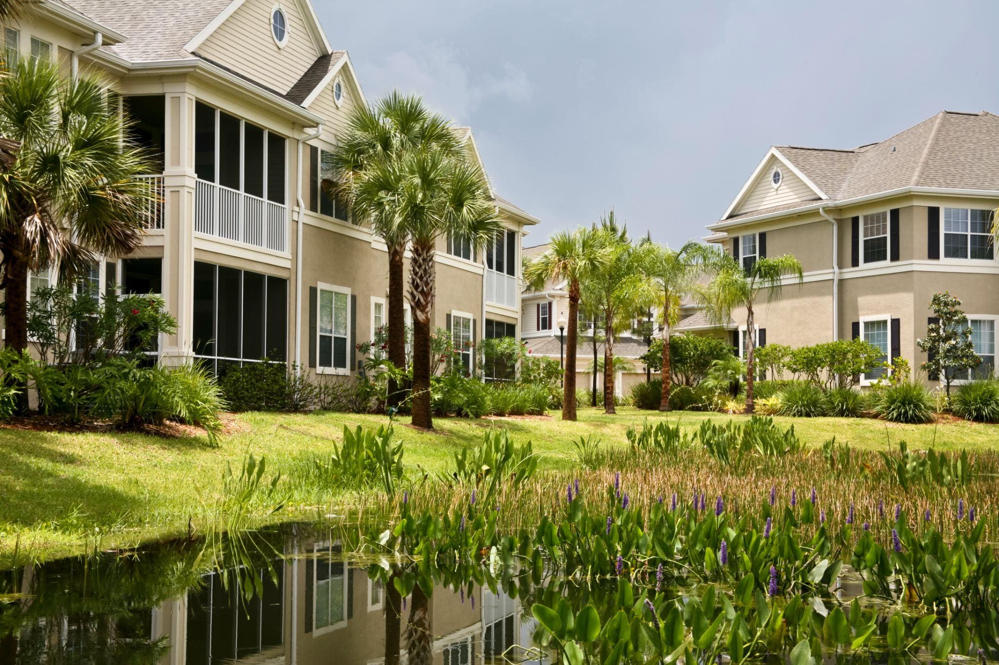 Palm-lined homes beside a flowering pond