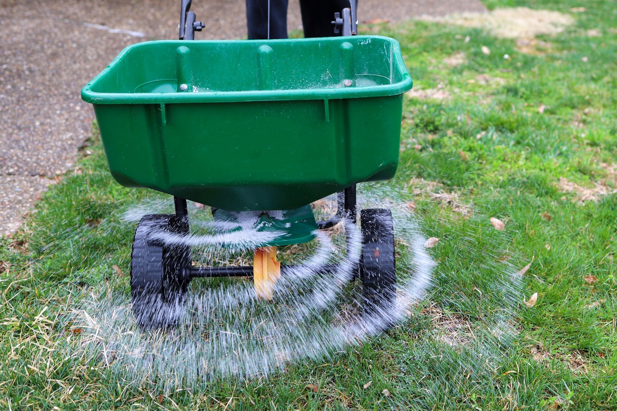 Green lawn spreader dispersing fertilizer over grass