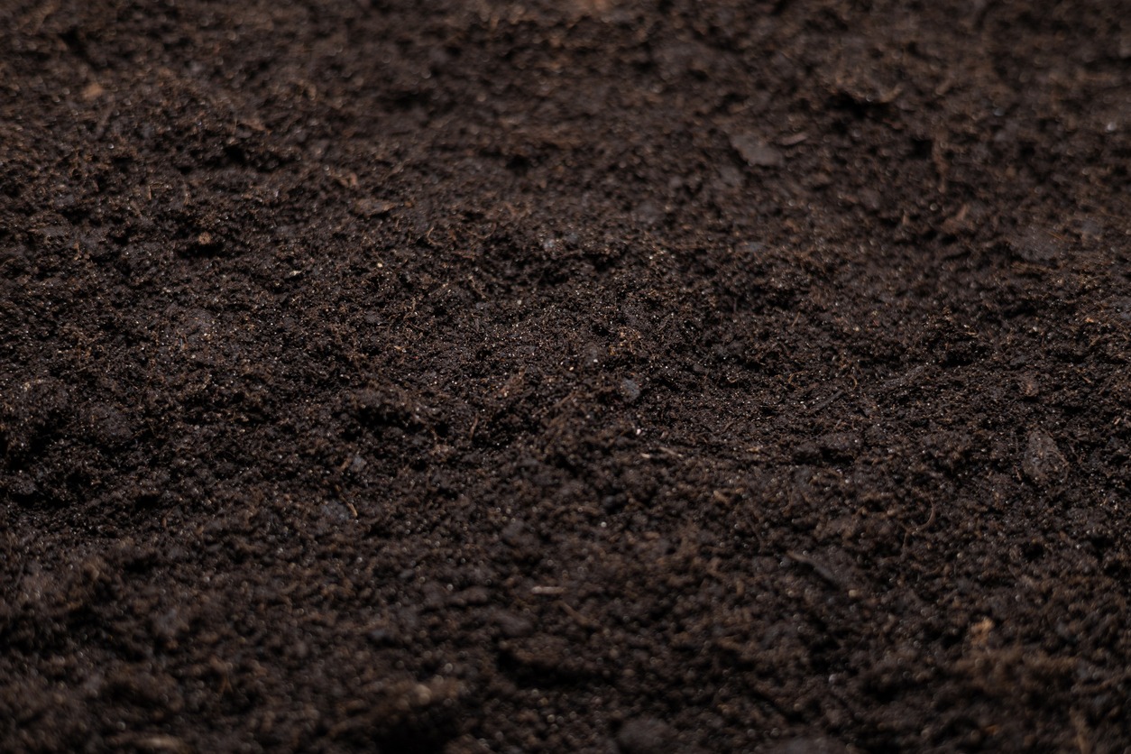 Close-up of dark, rich garden soil