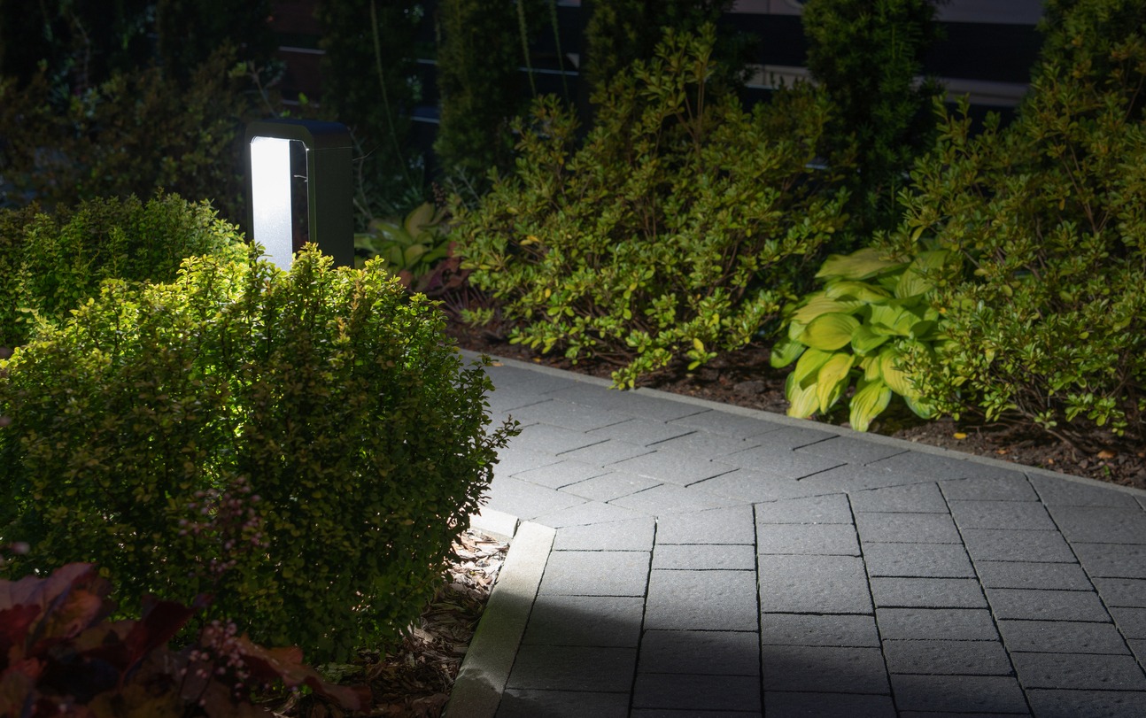 Illuminated garden path beside shrubs at night