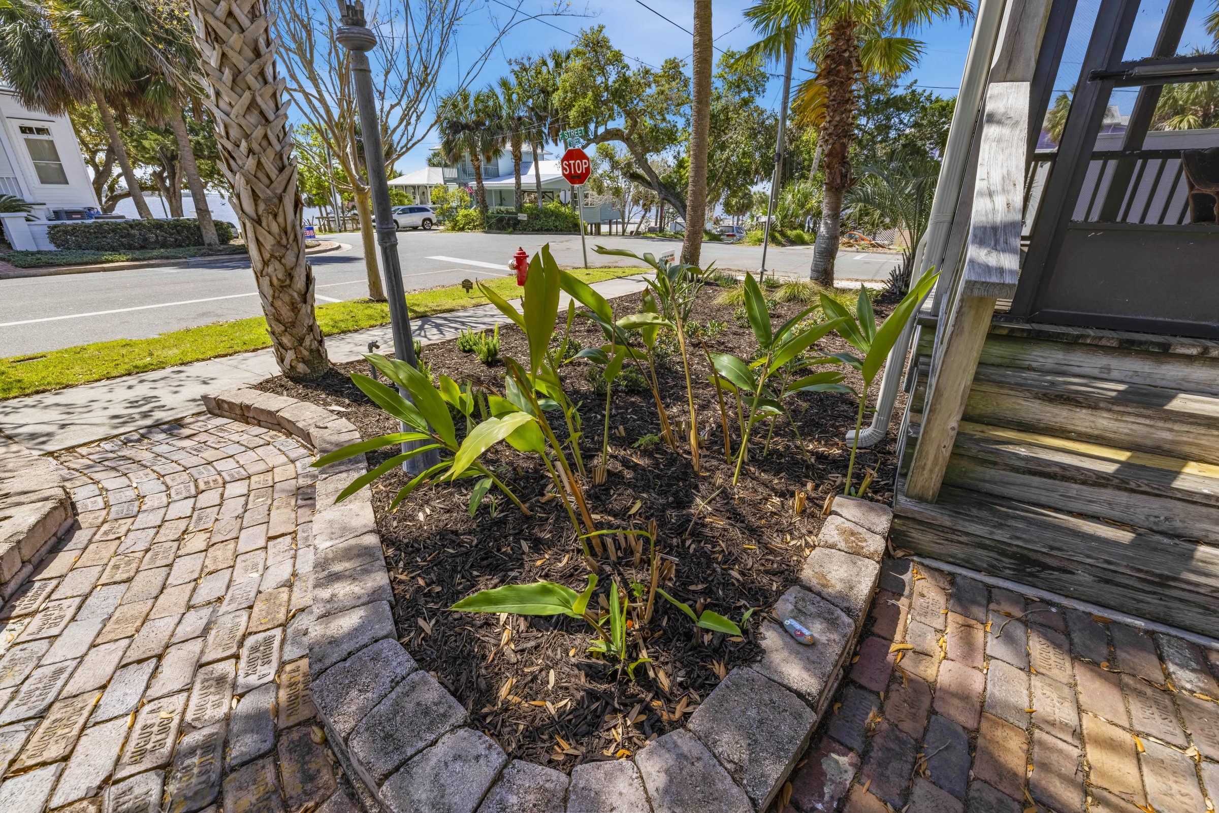Tropical garden beside wooden porch overlooking sunny residential street