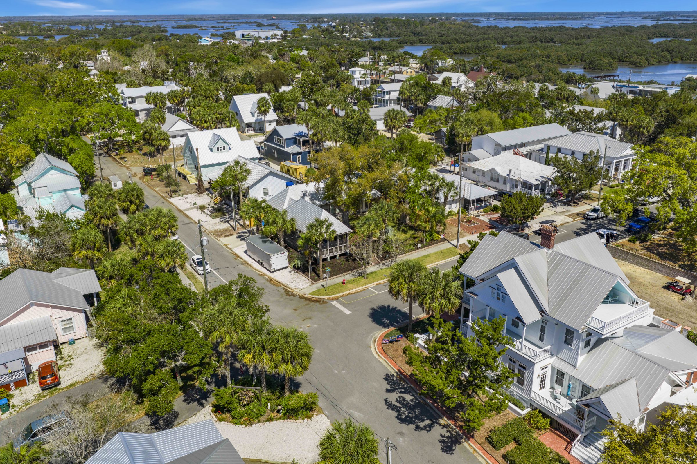 Aerial view of palm-lined neighborhood beside coastal wetlands