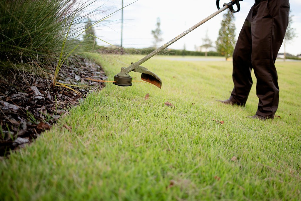 Landscaper edging grass with a string trimmer