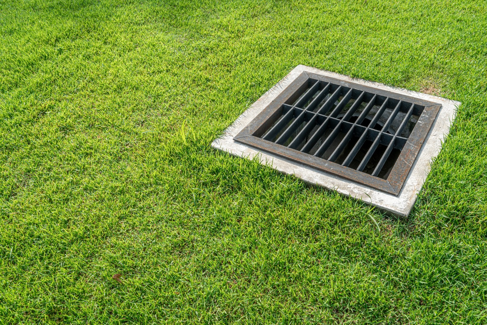 Storm drain grate set in a green grassy lawn