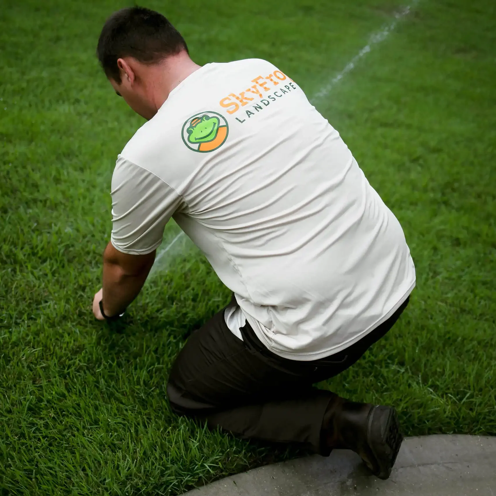 Gainesville, FL Lawn Care Services