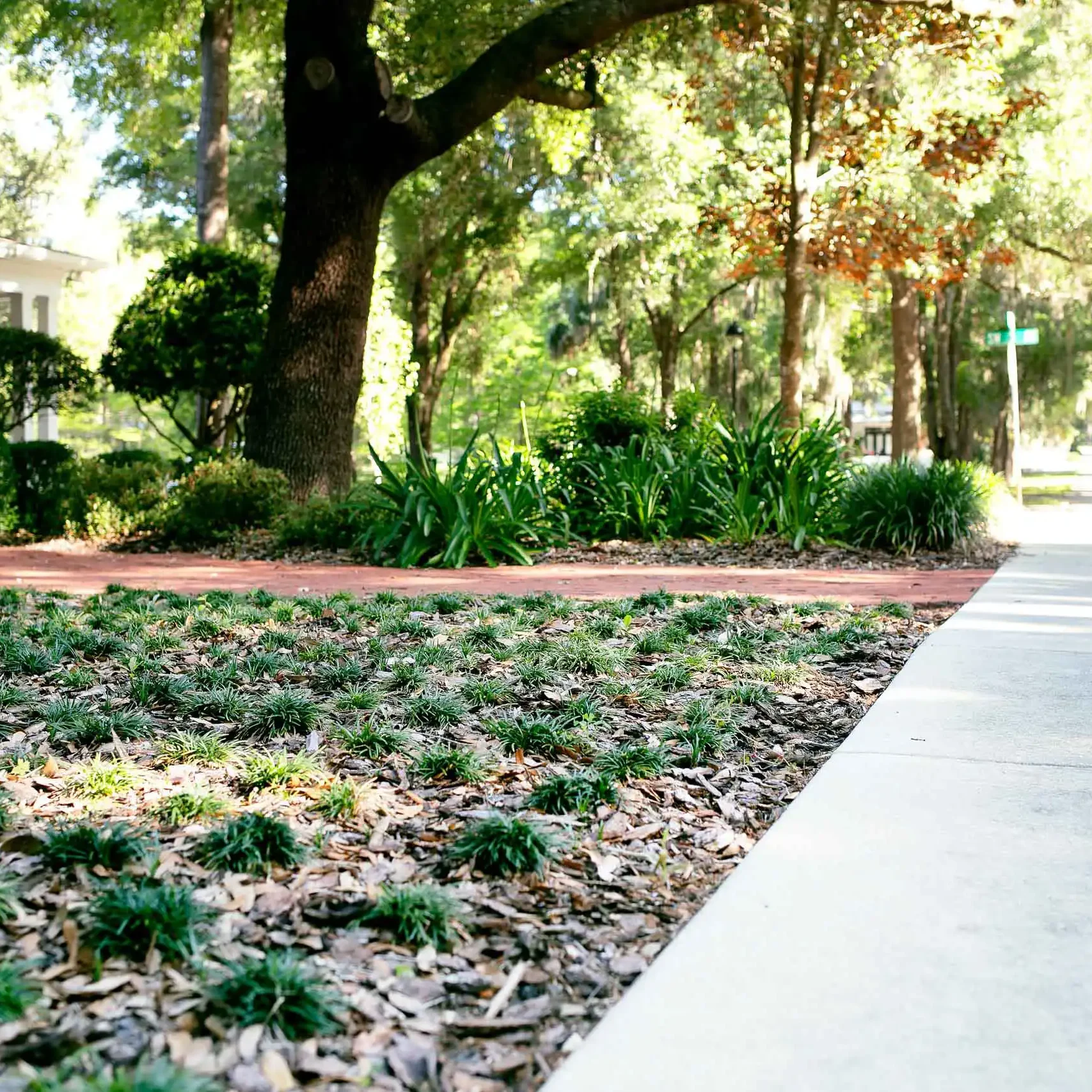 Gainesville, FL Landscape Installation Services