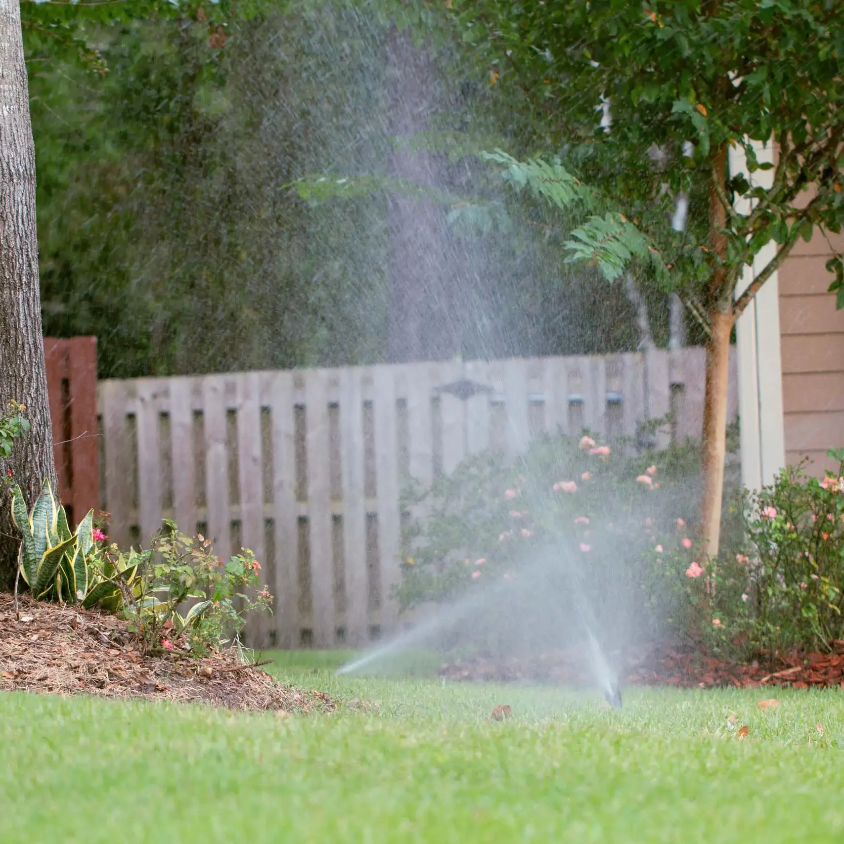 Gainesville, FL Lawn Care Services