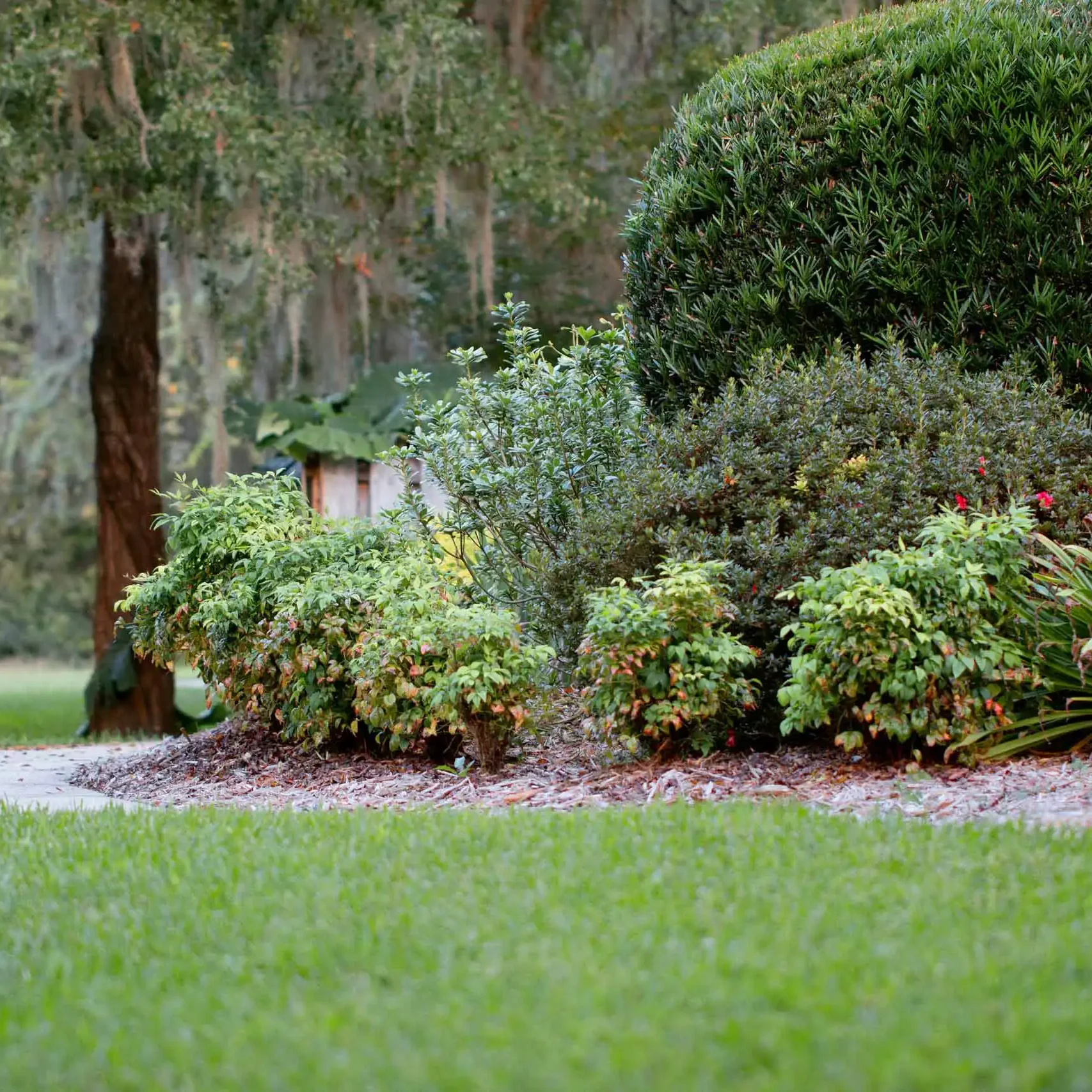 Newberry, FL Landscaping Services Team